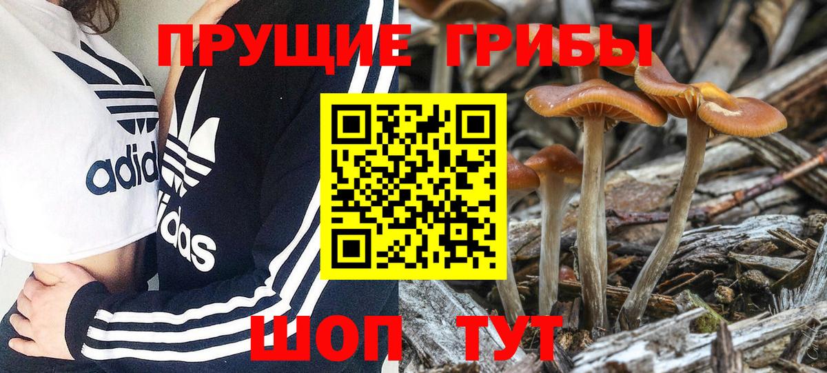 Галлюциногенные грибы мухоморы  Вход с VPN  Котельники 